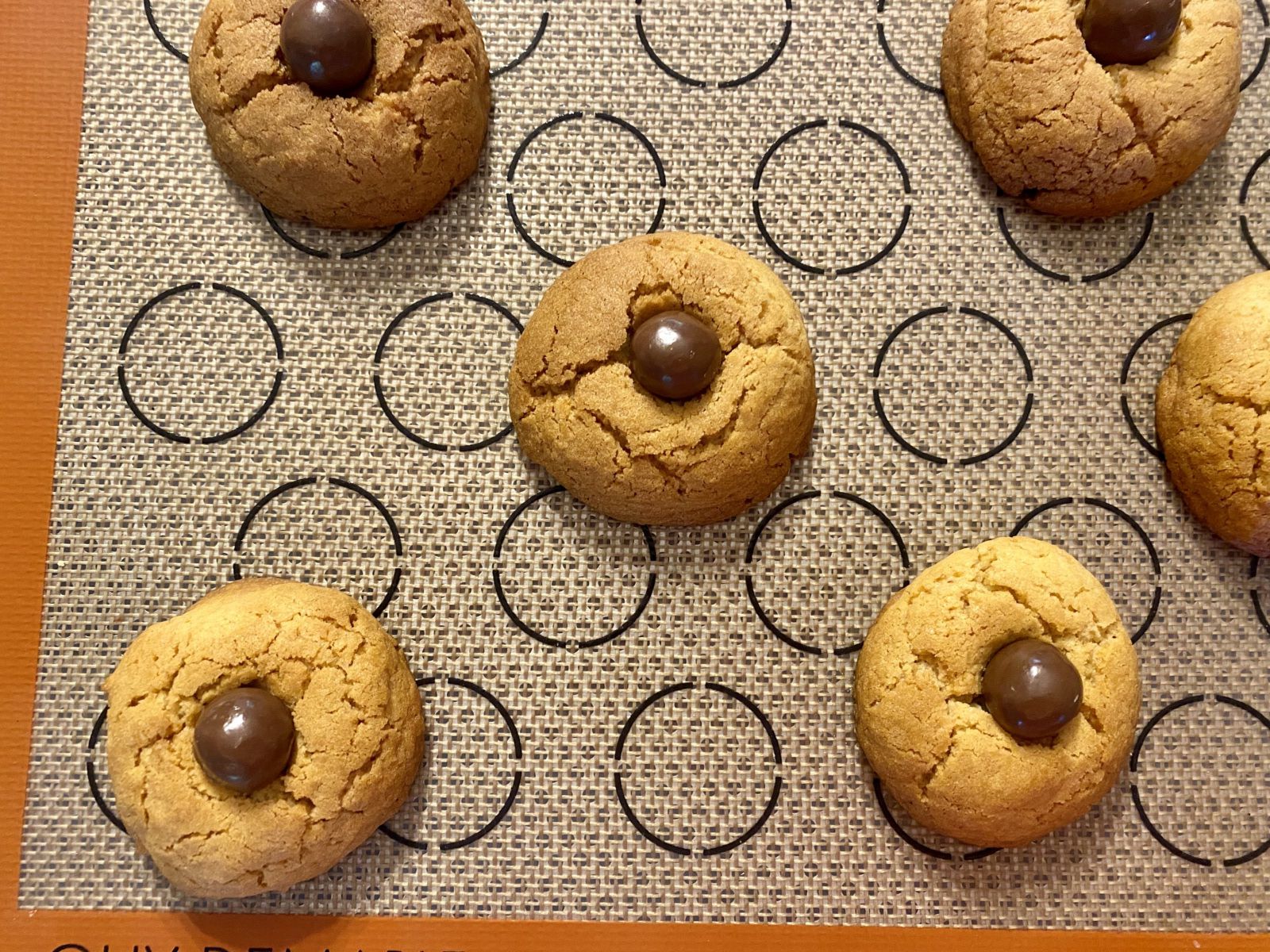 Cookies araignée d'Halloween