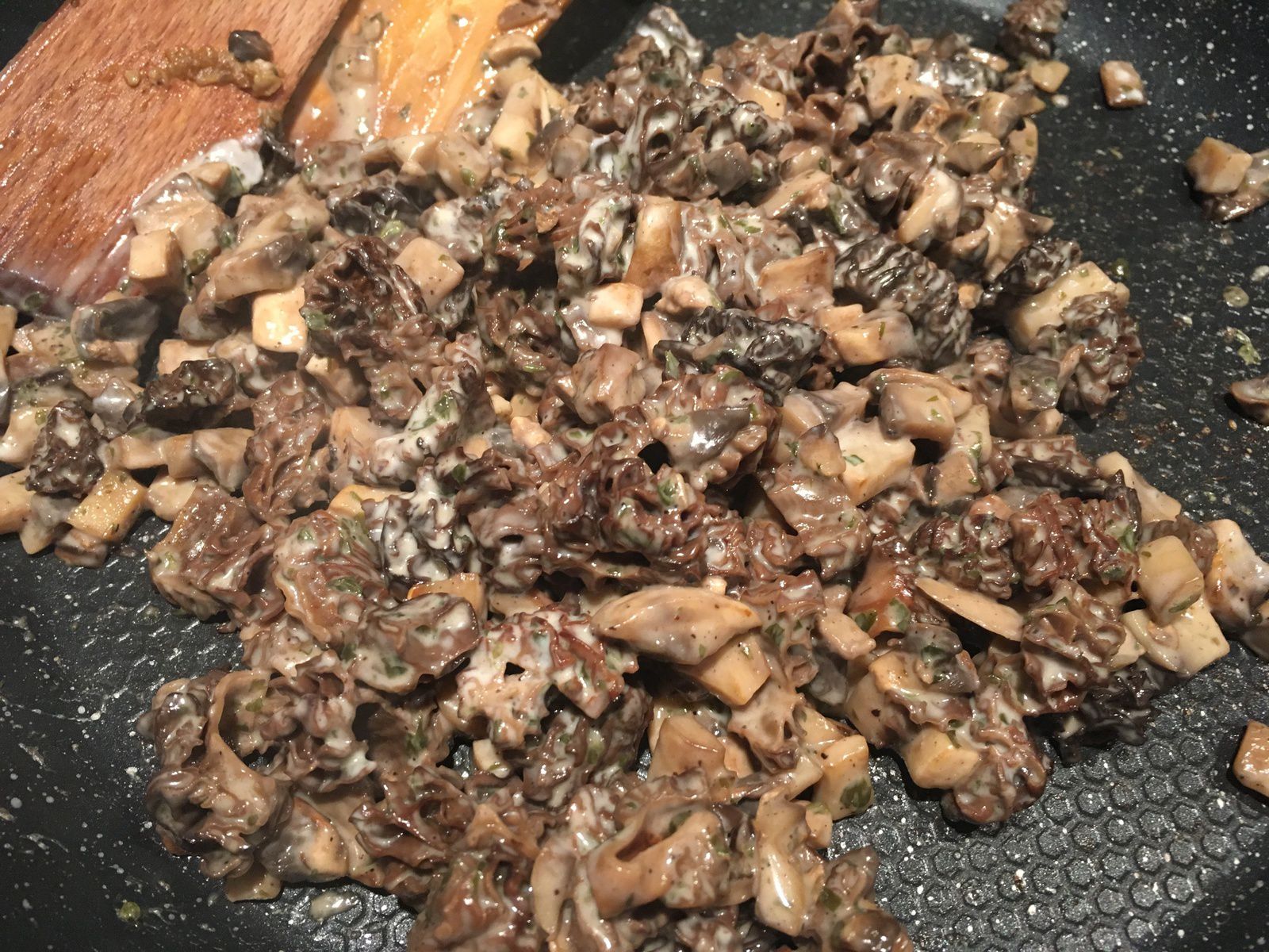 Bricks aux morilles et aux champignons de Paris