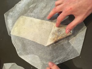 Bricks aux morilles et aux champignons de Paris