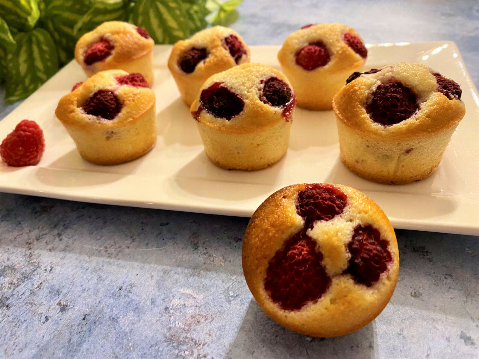 Visitandines aux framboises