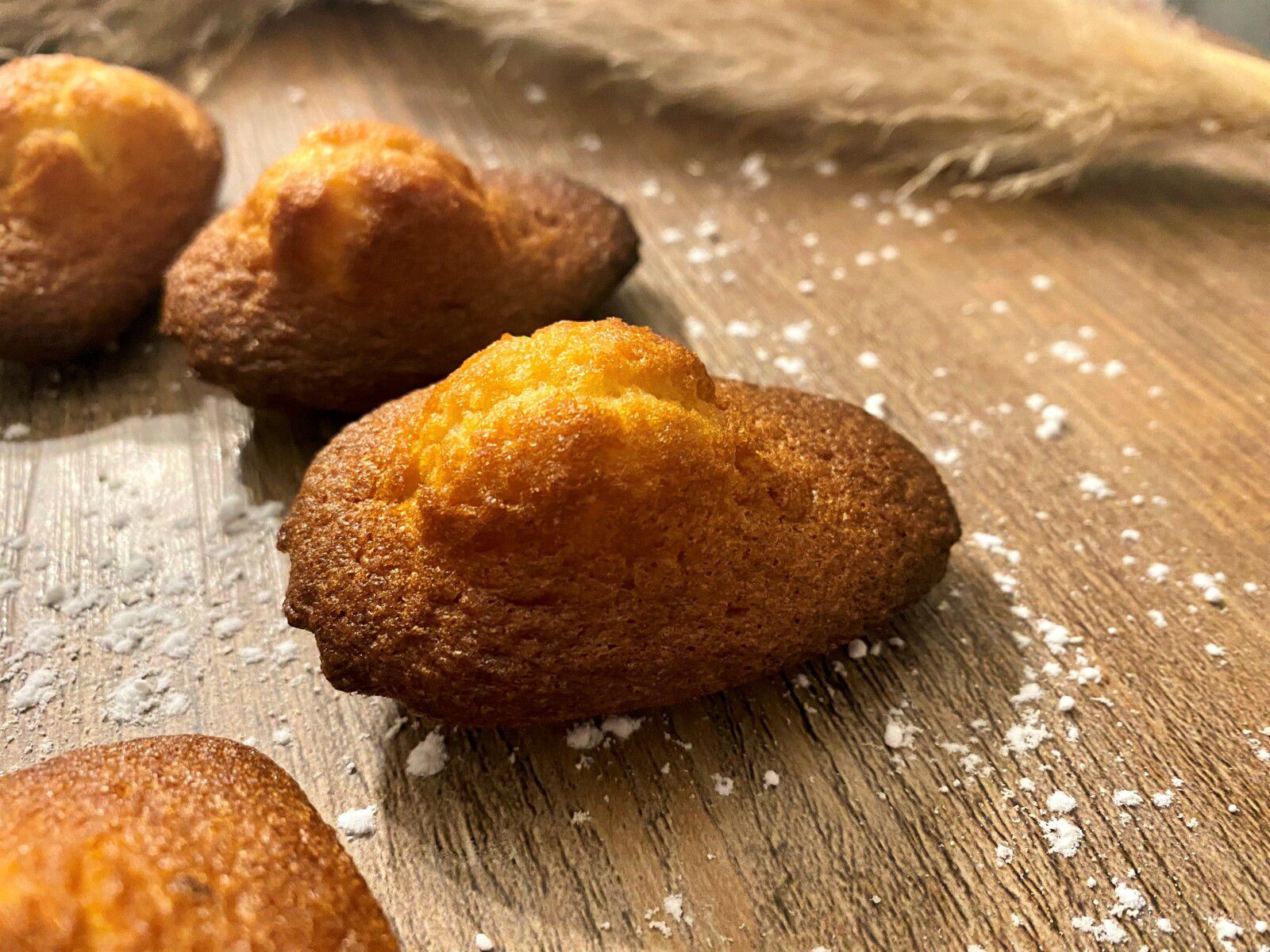 Madeleines de Claire Heitzlerg