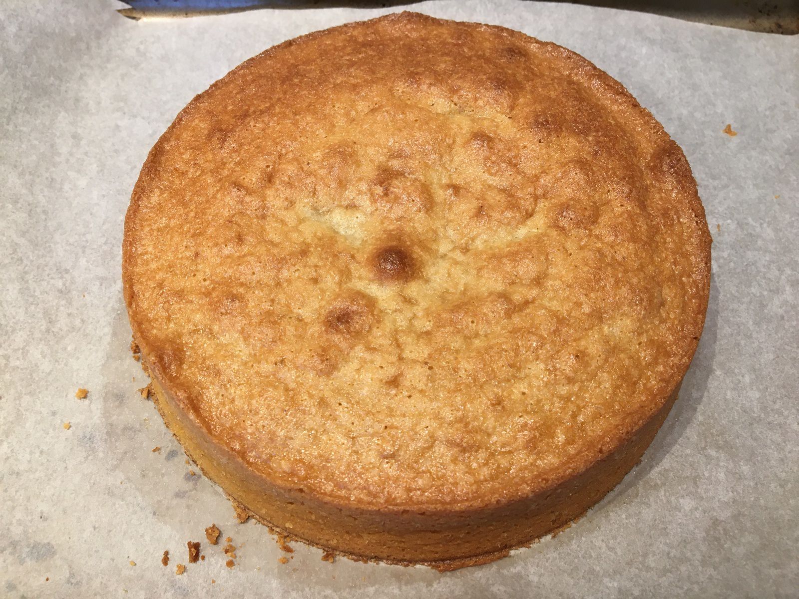 Entremets abricot, vanille et noisette